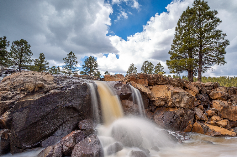 Waterfall near trees