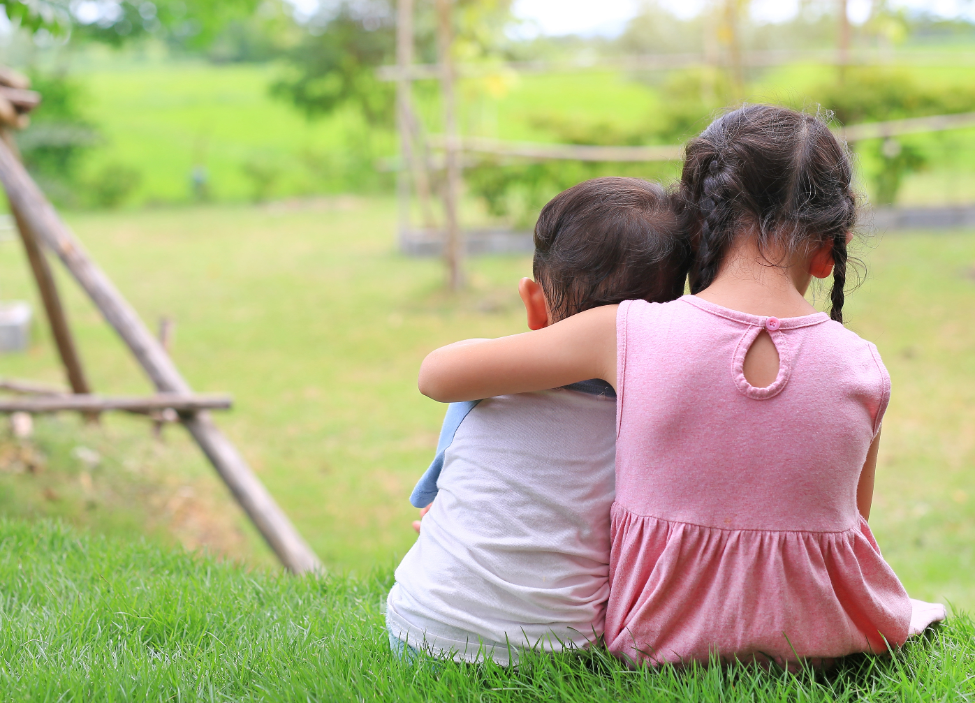 The backs of two children in a field