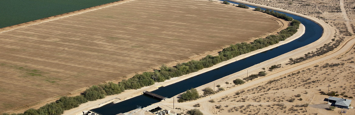 Irrigation in the desert near Mesa, Arizona