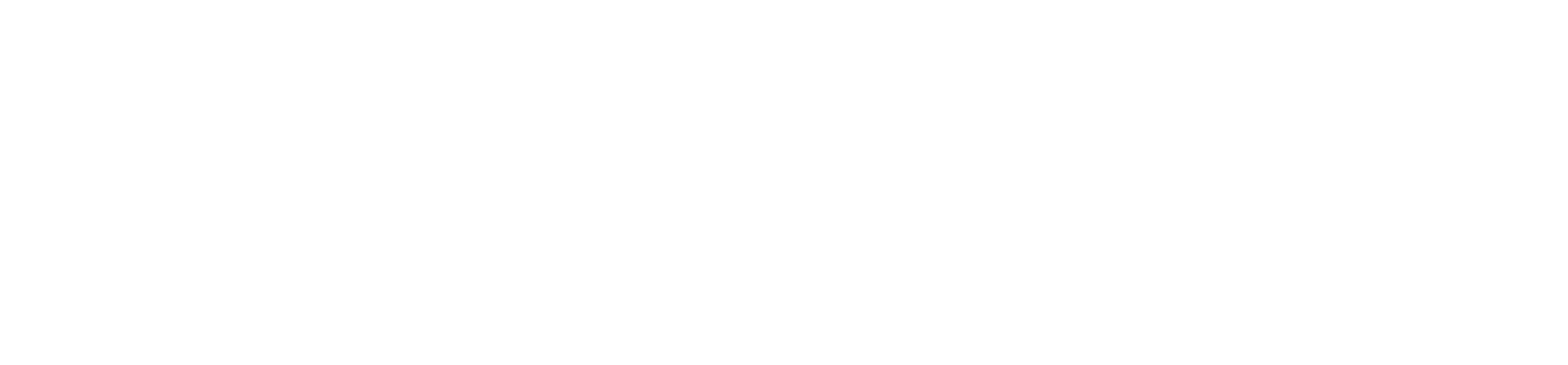 Watts VIDEO 4