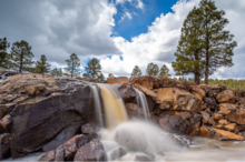 Waterfall near trees