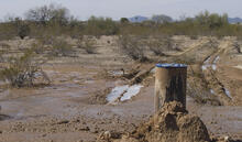 Wet area in the desert